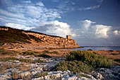Torre dell'Alto da Porto Selvaggio, Salento, Puglia
